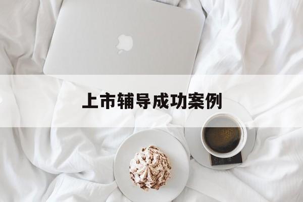 上市辅导成功案例(上市辅导成功后肯定会上市吗)苏州市