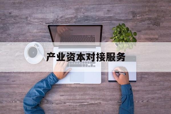 产业资本对接服务(产业资本对接服务包括哪些)苏州市